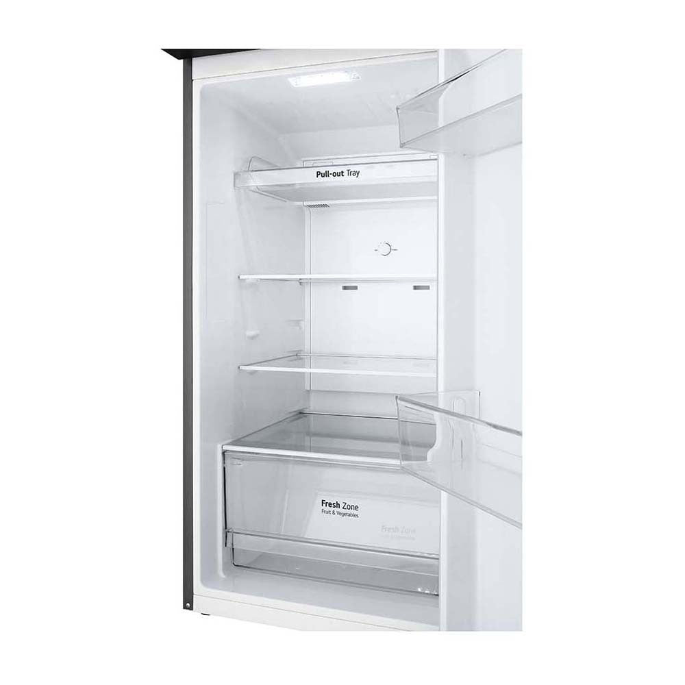 LG 243L Top Mount Fridge Stainless Steel GT-1S, Glass shelf and vegetable crisper drawer view 