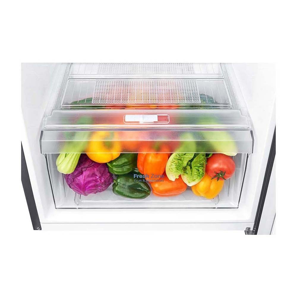 LG 254L Top Mount Fridge GT-279BPL, Vegetable crisper drawer full of vegetables