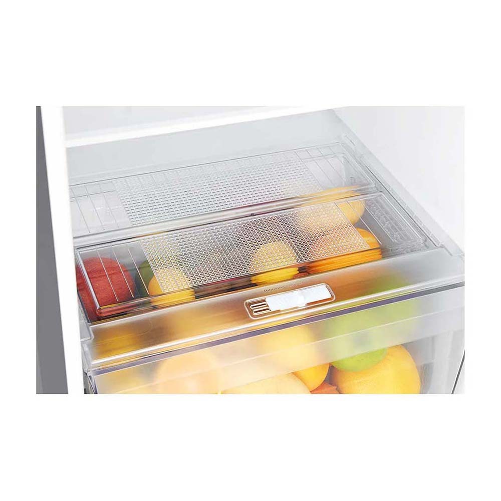 LG 254L Top Mount Fridge GT-279BPL, Vegetable crisper drawer view