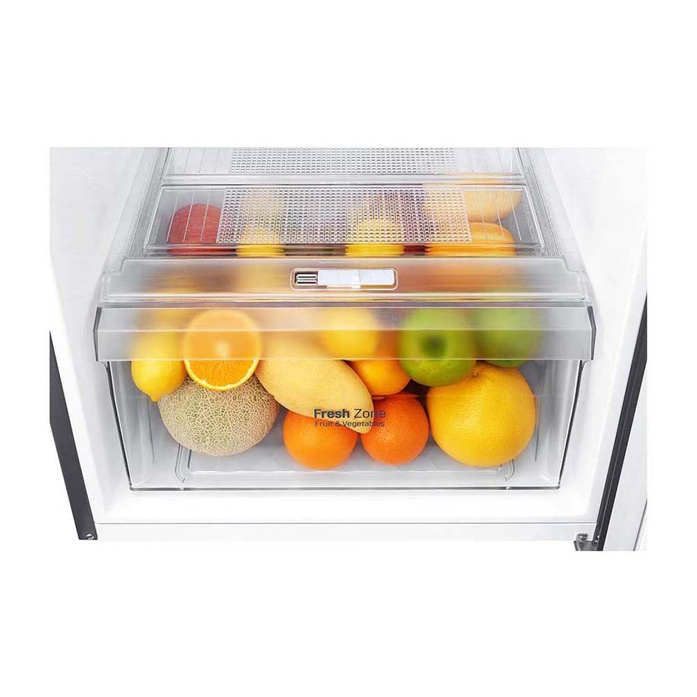 LG 254L Top Mount Fridge GT-279BPL, Vegetable crisper drawer full of fruits