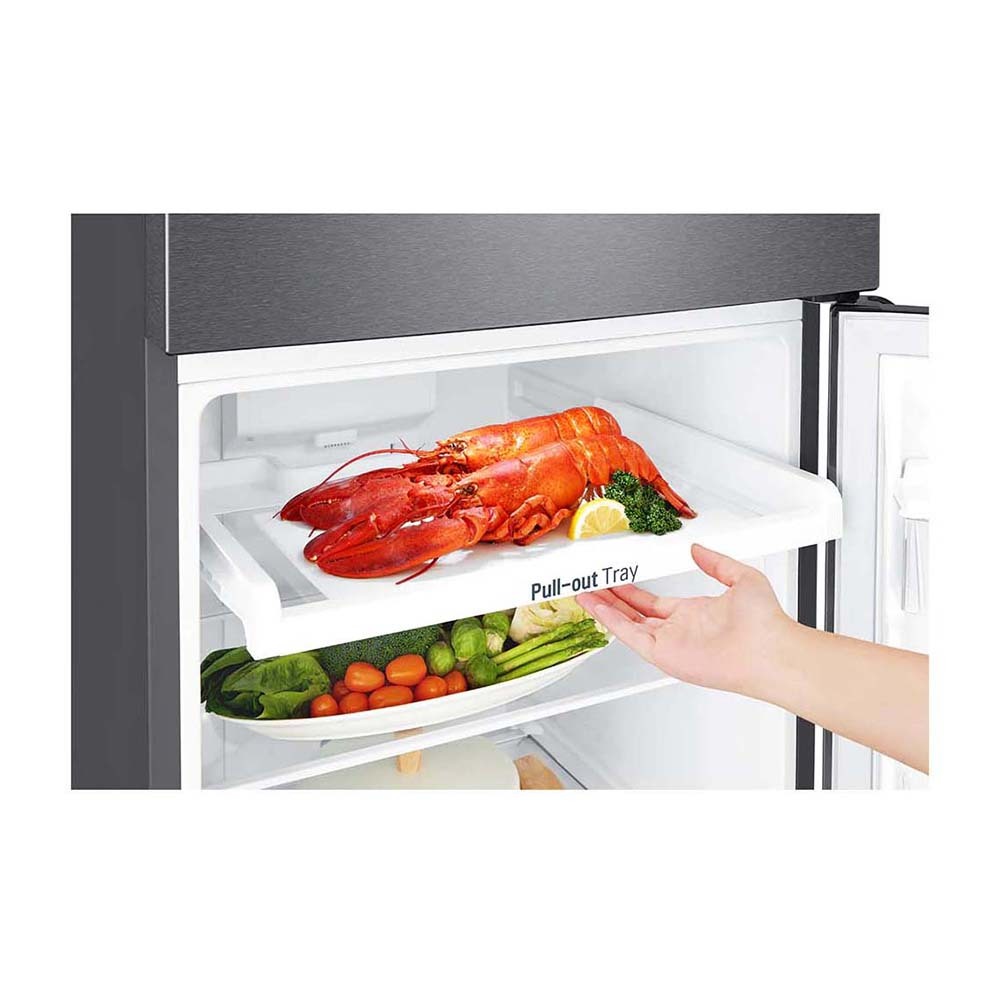 LG 254L Top Mount Fridge GT-279BPL, Pull out tray view